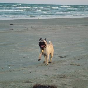 Meet your Posher, Linda